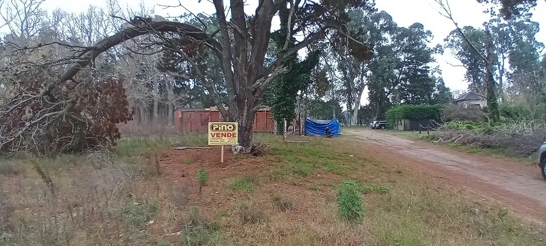 Hermoso Lote A Mts Del Club De Golf.