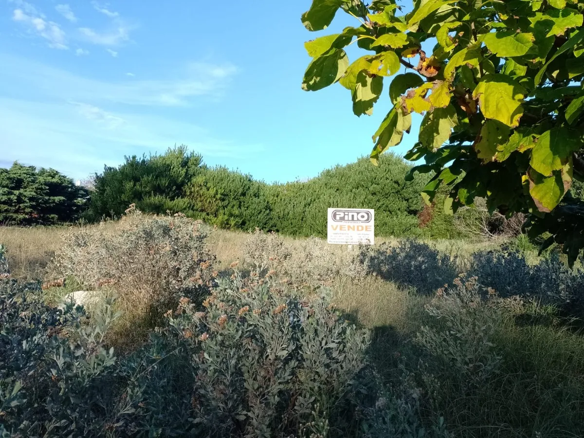 Lote Sobre Avenida 7 En Las Toninas 15 X 40 Mts Retasado!!