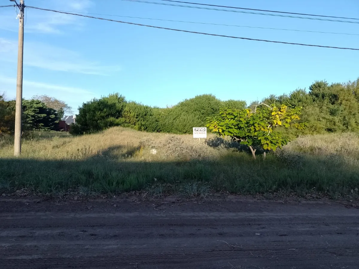 Lote Sobre Avenida 7 En Las Toninas 15 X 40 Mts Retasado!!