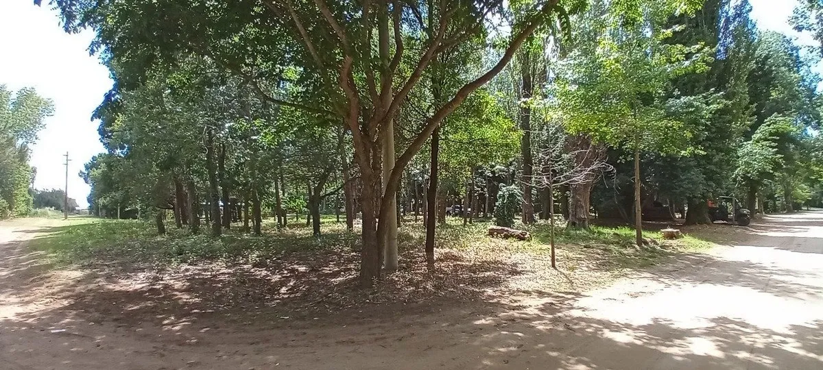 2 Lotes Juntos Paseo Del Bosque