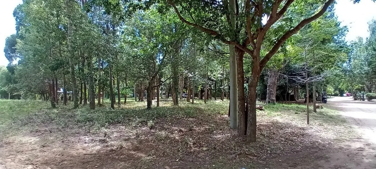 2 Lotes Juntos Paseo Del Bosque