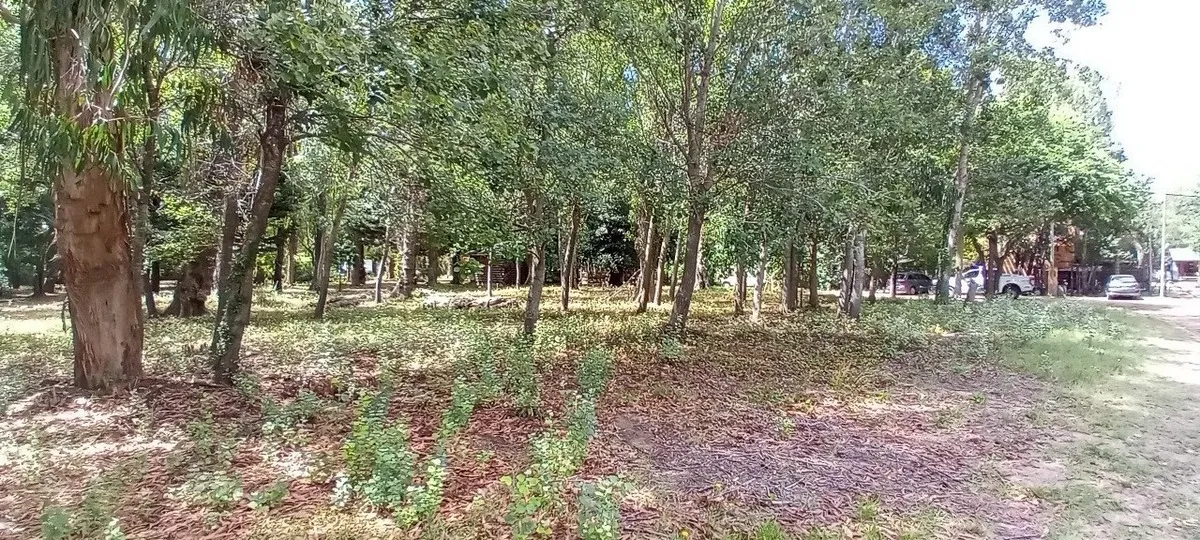 2 Lotes Juntos Paseo Del Bosque