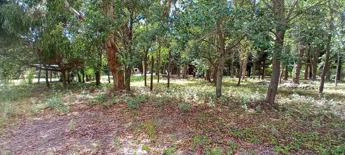 2 Lotes Juntos Paseo Del Bosque