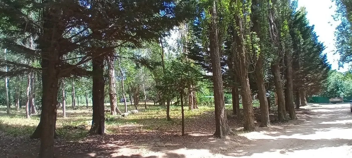 2 Lotes Juntos Paseo Del Bosque