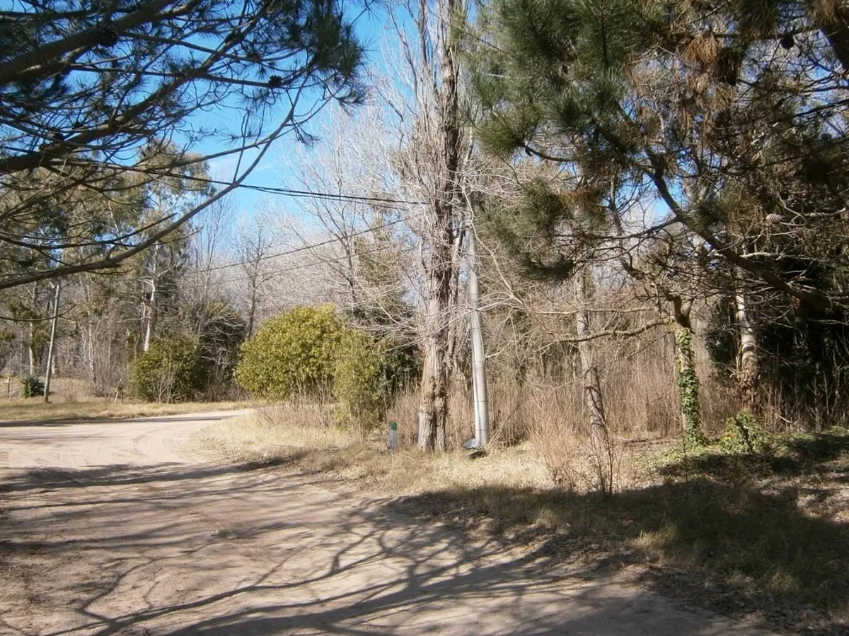 Paseo Del Bosque Manzana 151 Lote 33