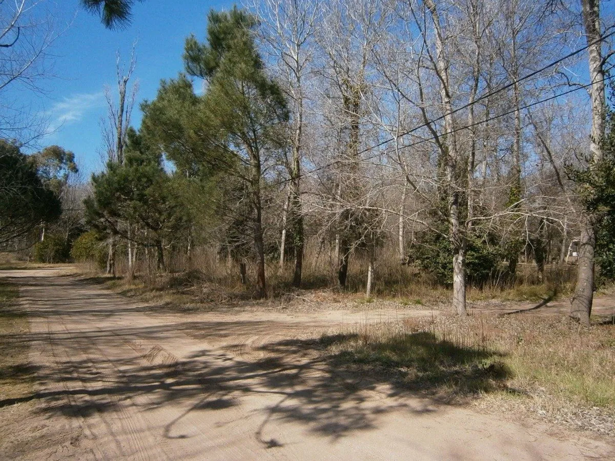Paseo Del Bosque Manzana 151 Lote 33