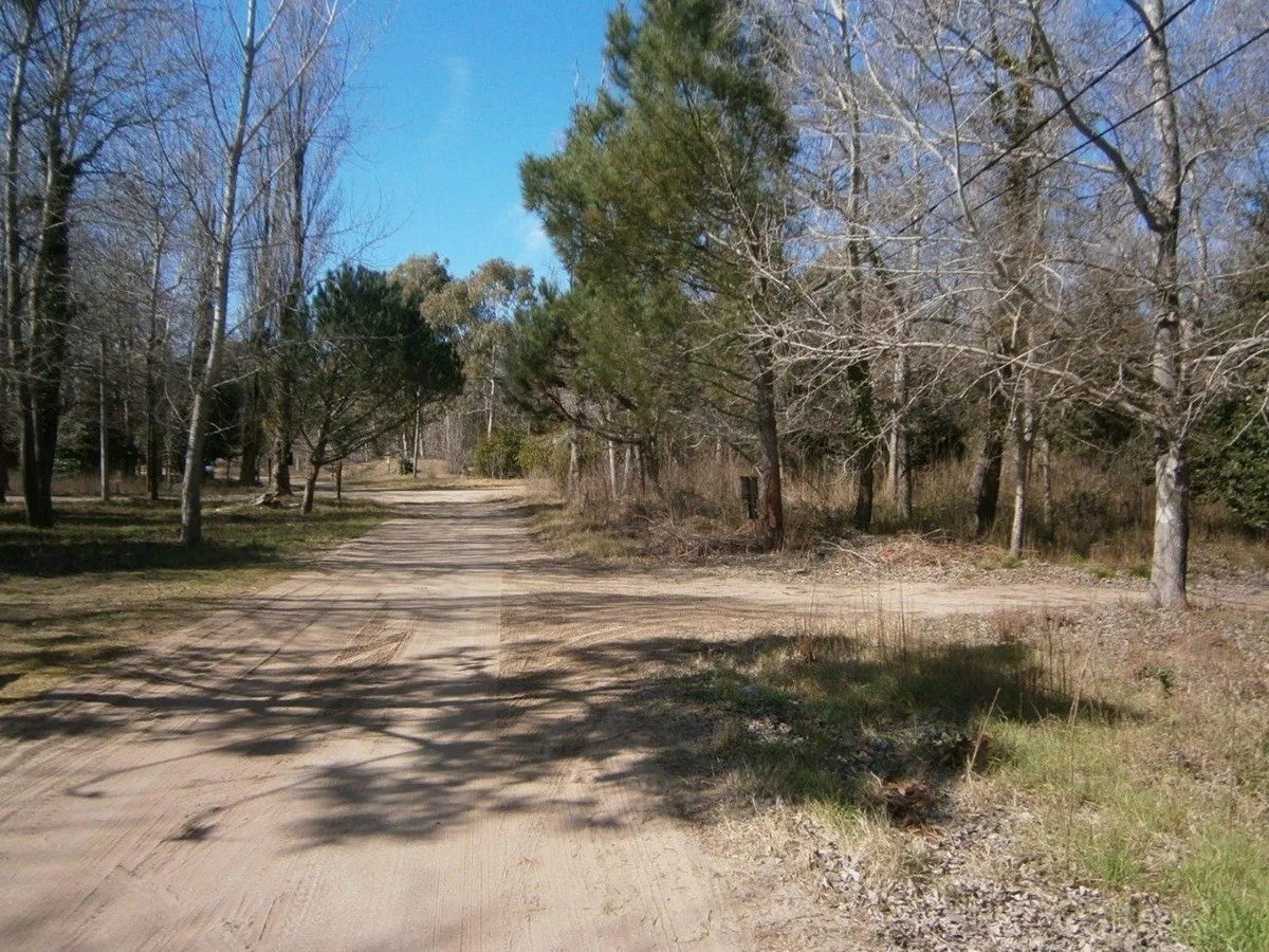 Paseo Del Bosque Manzana 151 Lote 33