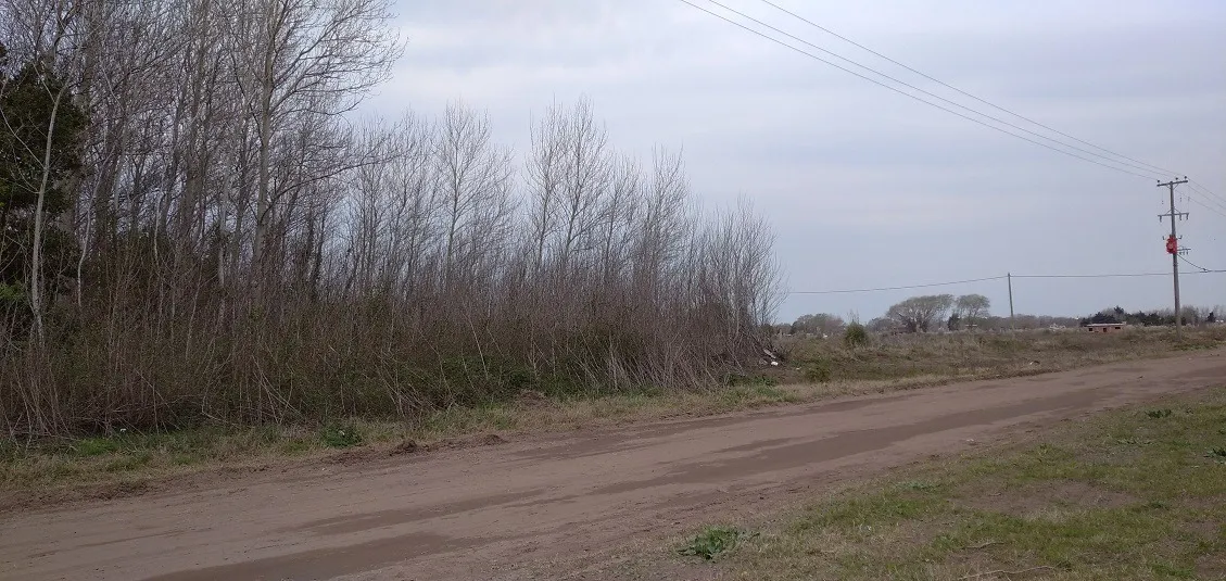Pino Vende 4 Lotes Juntos Sobre Colectora De Mar Del Tuyu