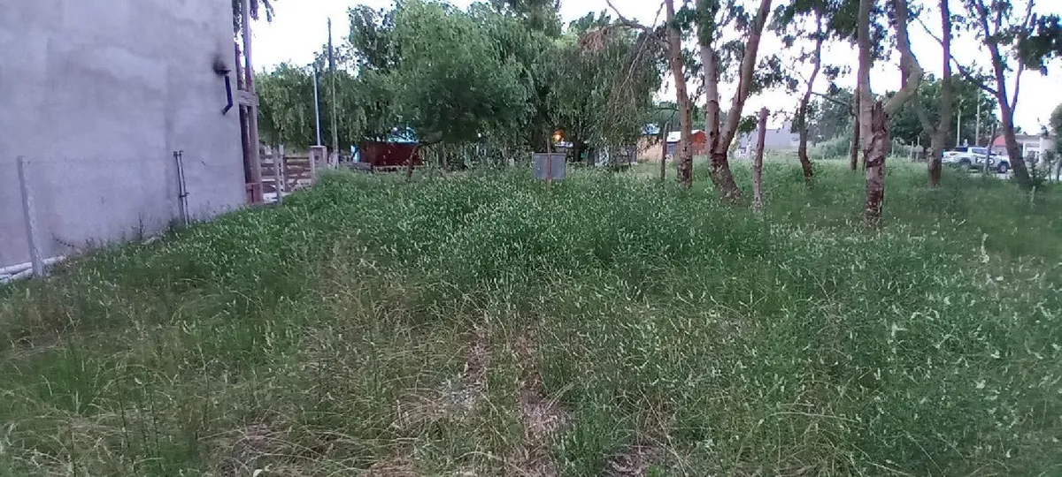 Lote En Costa Chica Zona Arbolada Y Tranquila