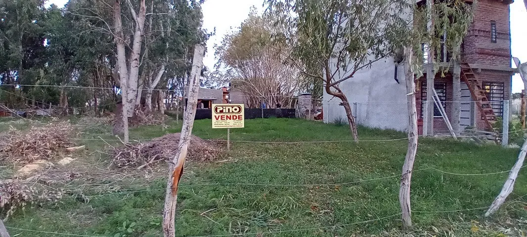Lote En Costa Chica Zona Arbolada Y Tranquila