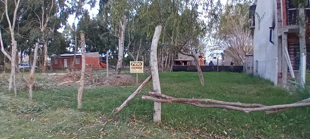 Lote En Costa Chica Zona Arbolada Y Tranquila