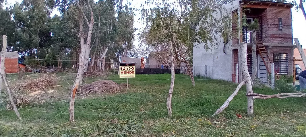Lote En Costa Chica Zona Arbolada Y Tranquila