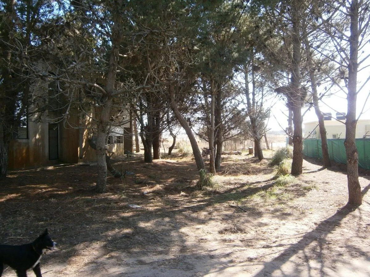 Paseo Del Bosque De Santa Teresita  Lote 52