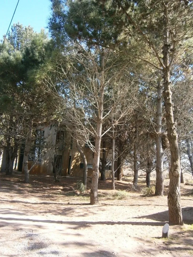 Paseo Del Bosque De Santa Teresita  Lote 52