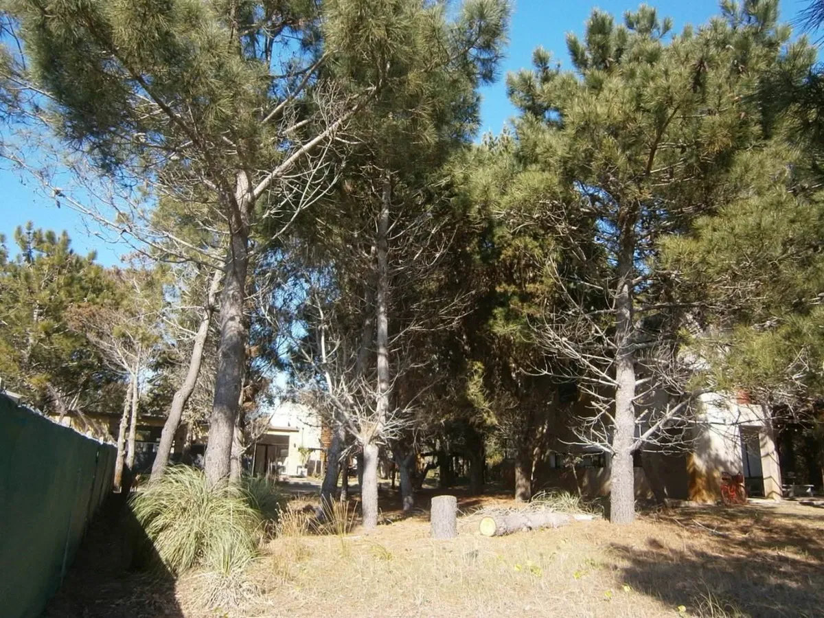 Paseo Del Bosque De Santa Teresita  Lote 52