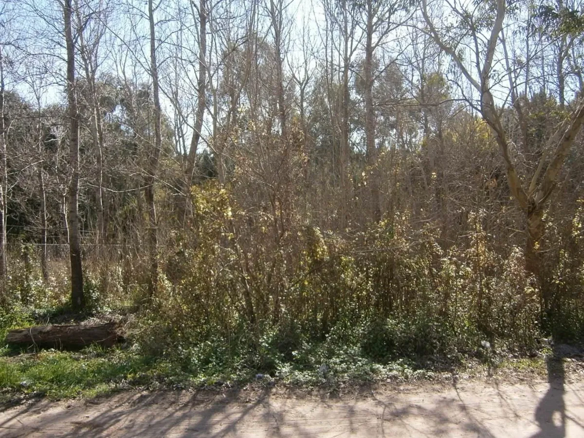 Paseo Del Bosque Manzana 163 Lote 11