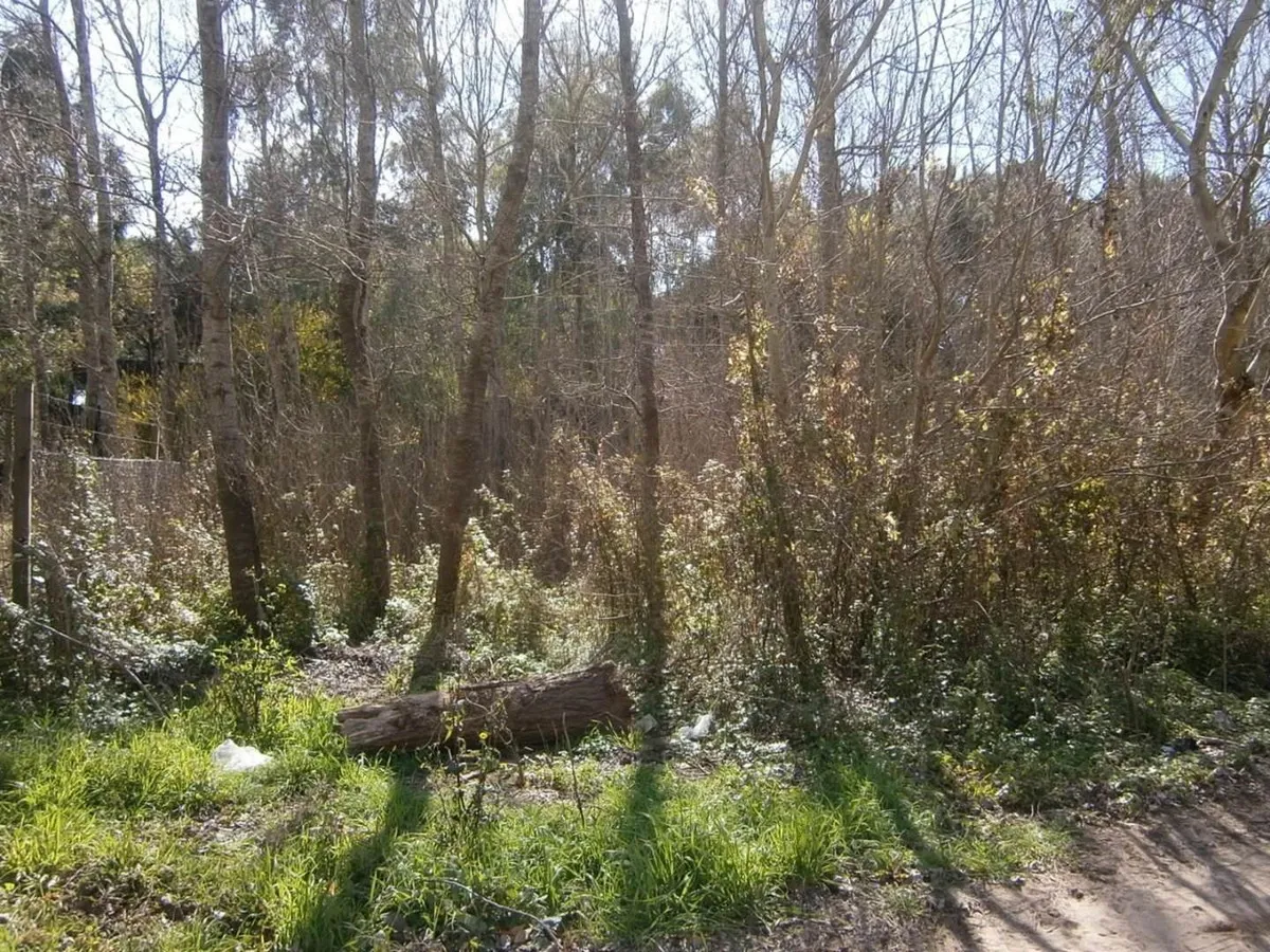 Paseo Del Bosque Manzana 163 Lote 11