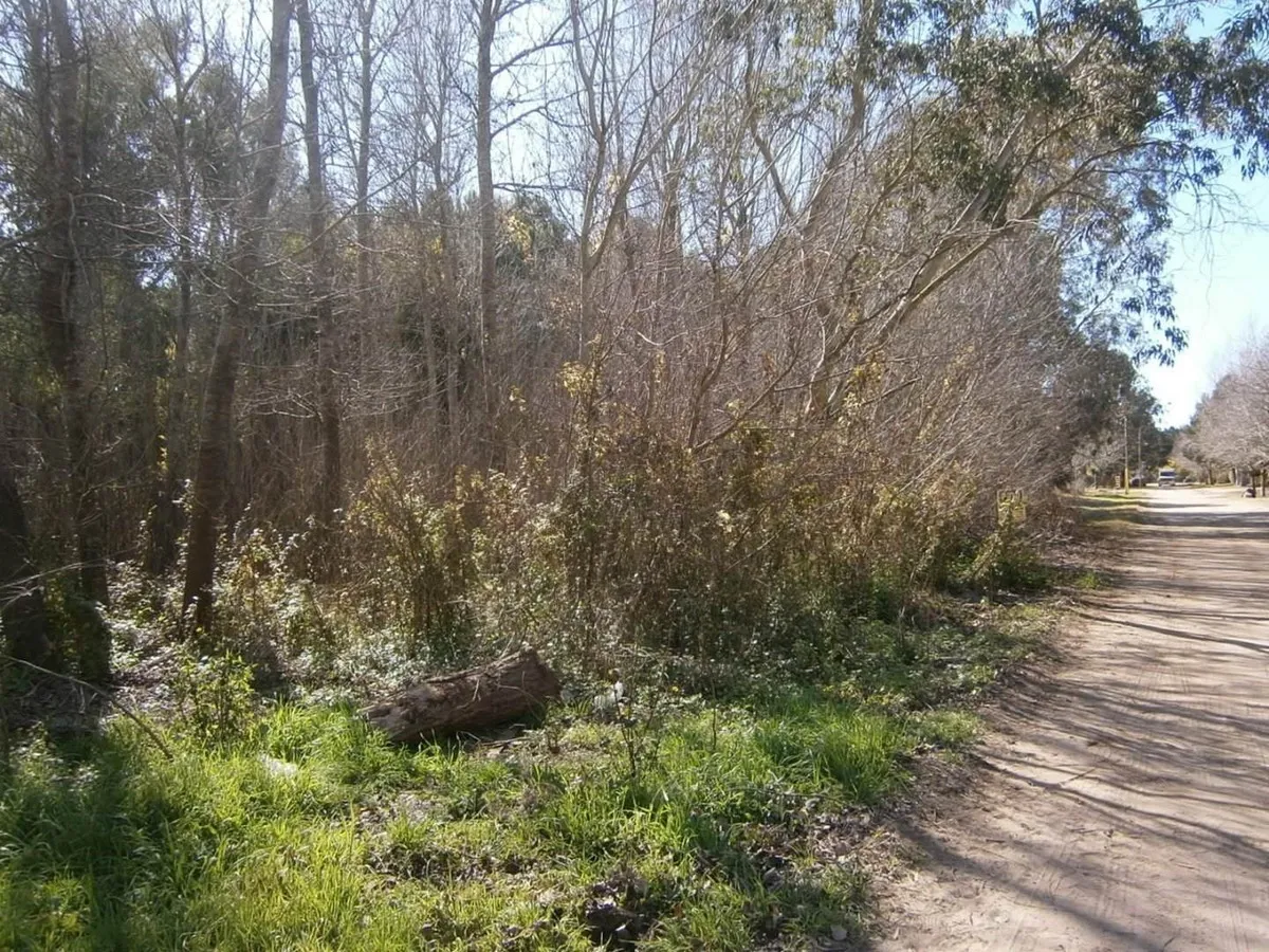 Paseo Del Bosque Manzana 163 Lote 11