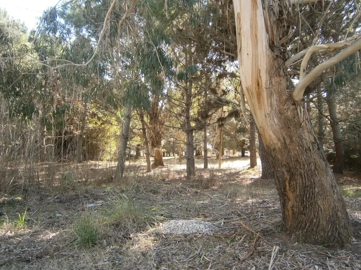 Paseo Del Bosque Manzana 163 Lote 11