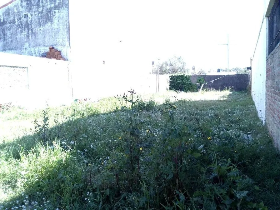 Santa Teresita. Lote Baldio En Excelente Barrio!