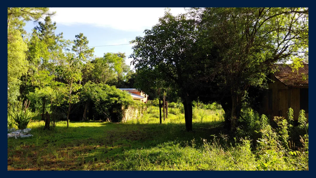 CHACRA  con CABAÑA - Andrade, Misiones.