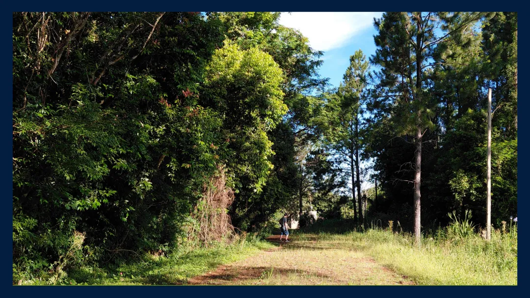 CHACRA  con CABAÑA - Andrade, Misiones.