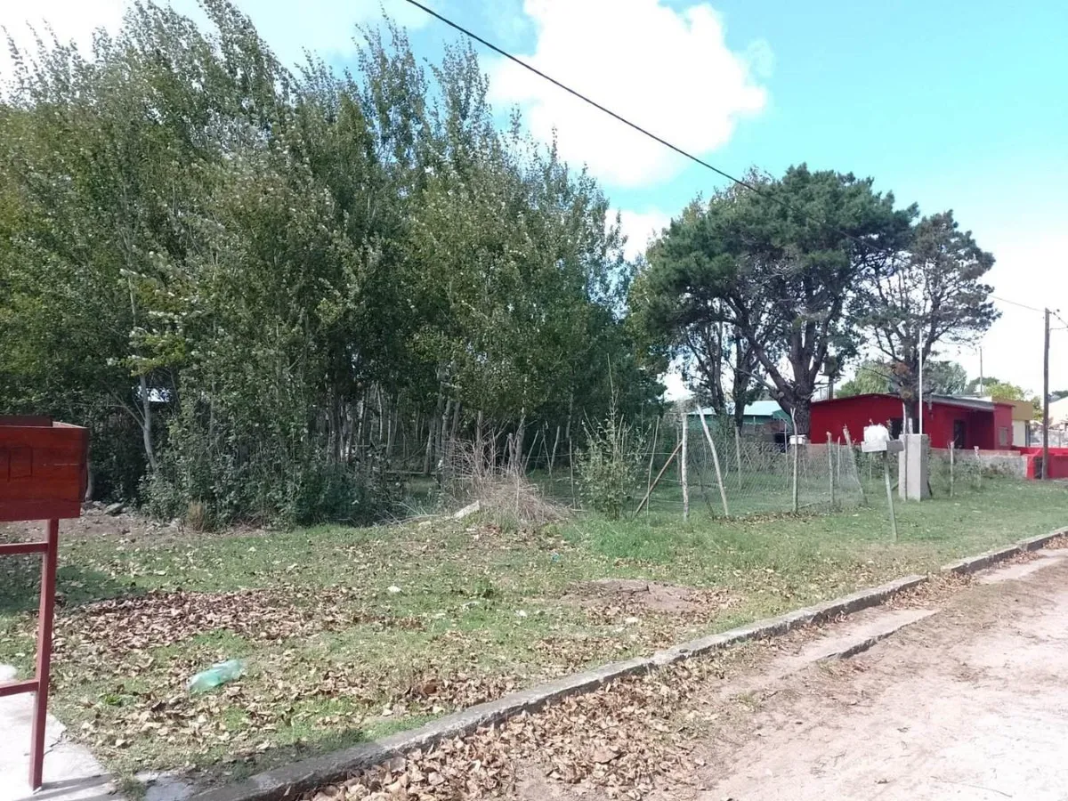 Lote En Las Toninas 10 X 40 Mts.