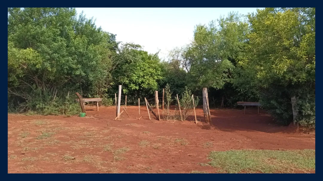 Chacra Productiva de 25 Hectáreas en Venta – San José, Misiones