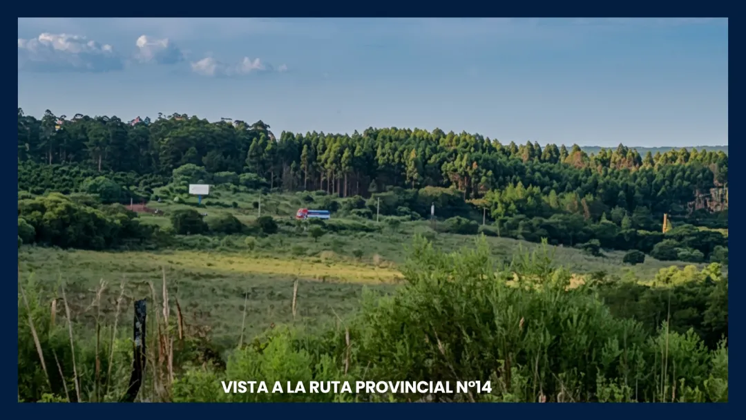 Chacra Productiva de 25 Hectáreas en Venta – San José, Misiones