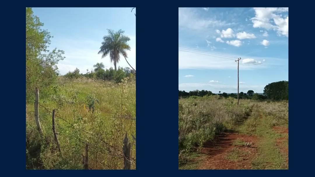 Chacra Productiva de 25 Hectáreas en Venta – San José, Misiones