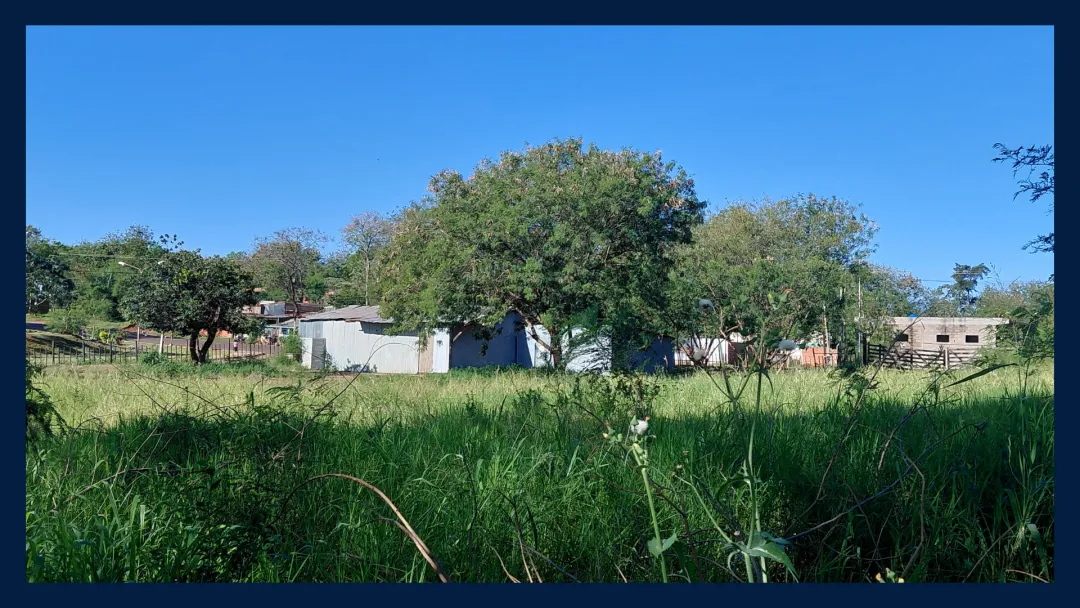 LOTE DE 12m x 33m (423m2) A MEDIA CUADRA DE AV. MONSEÑOR DE ANDREA