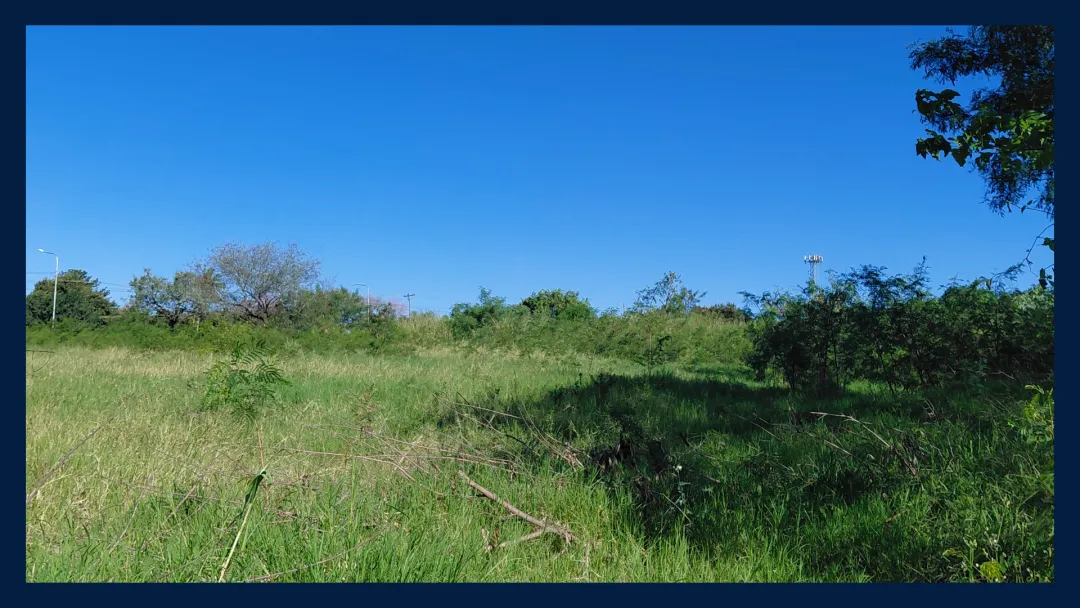 LOTE DE 12m x 33m (423m2) A MEDIA CUADRA DE AV. MONSEÑOR DE ANDREA