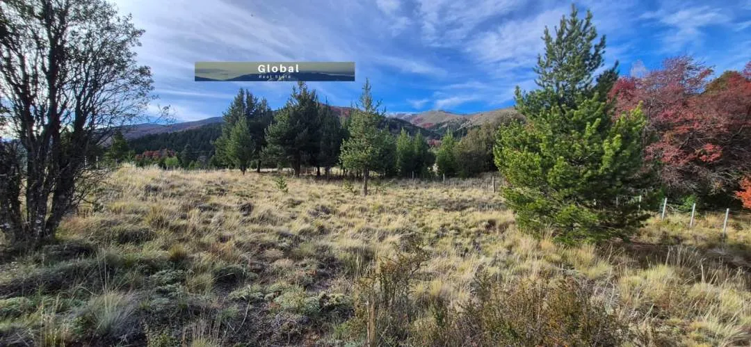 FABULOSO LOTE COSTA RÍO QUILQUIHUE, JUNÍN DE LOS ANDES PATAGONIA ARGENTINA