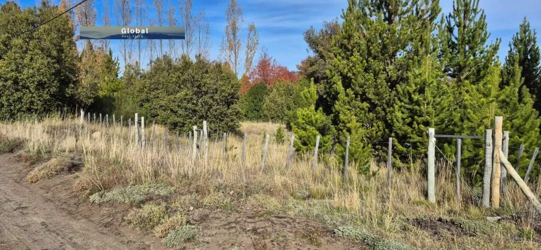 FABULOSO LOTE COSTA RÍO QUILQUIHUE, JUNÍN DE LOS ANDES PATAGONIA ARGENTINA