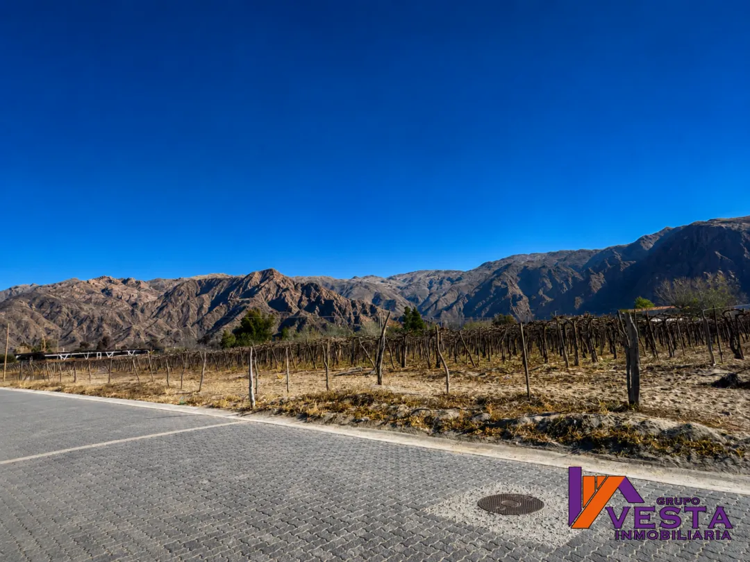 CAFAYATE- COMPLEJO DE TRES DUPLEX EN VENTA - BARRIO EL TRÁNSITO-SALTA