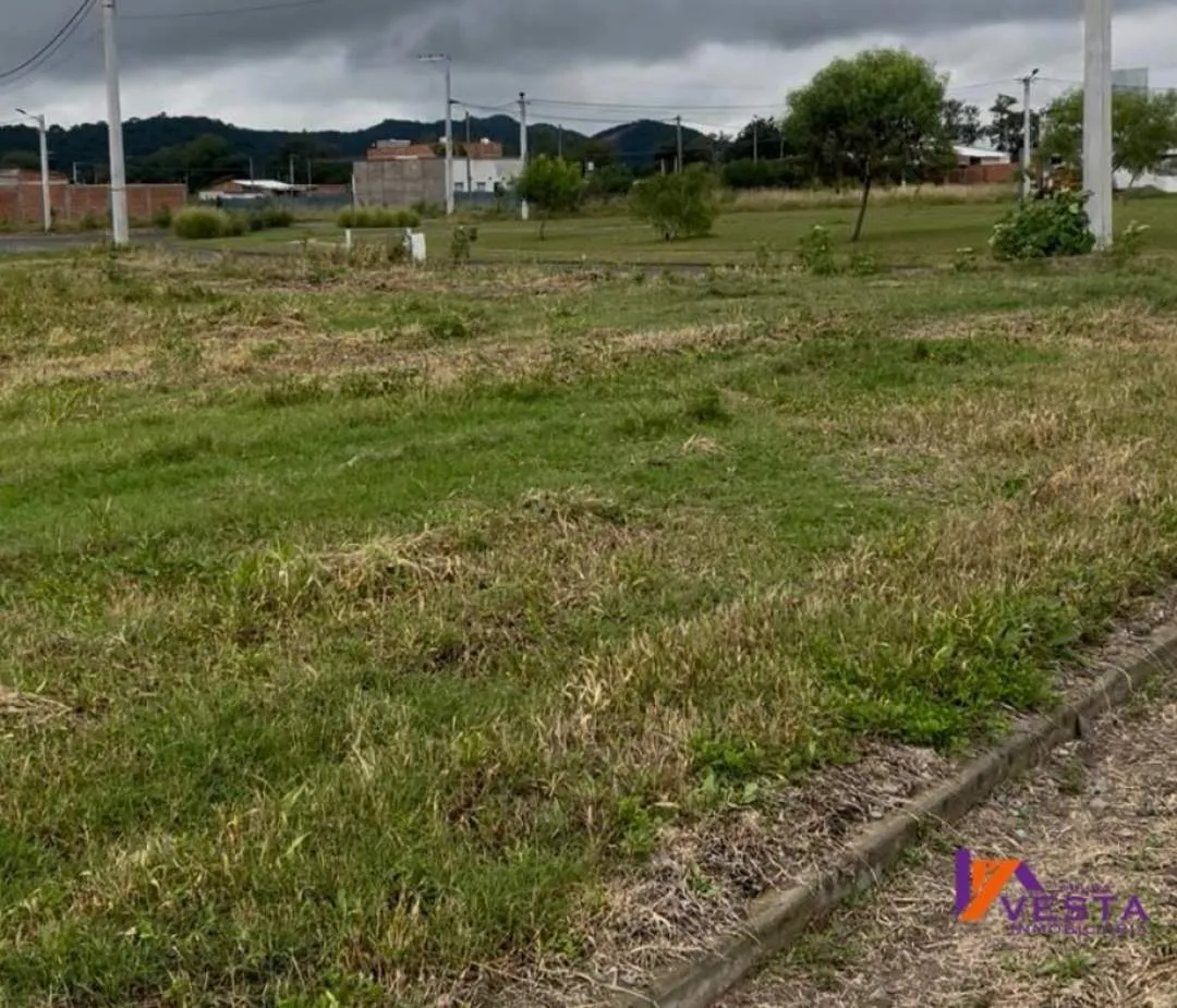 LOTEO LA CELESTINA-TERRENO-VENTA-CERRILLOS-SALTA