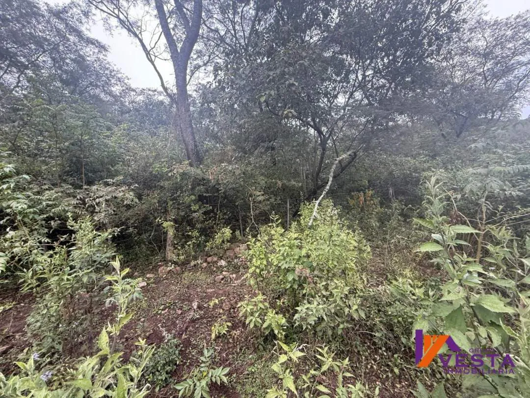 FINCA LA CRUZ (Potreros de La Cruz) 5 Hectareas-VENTA-SALTA