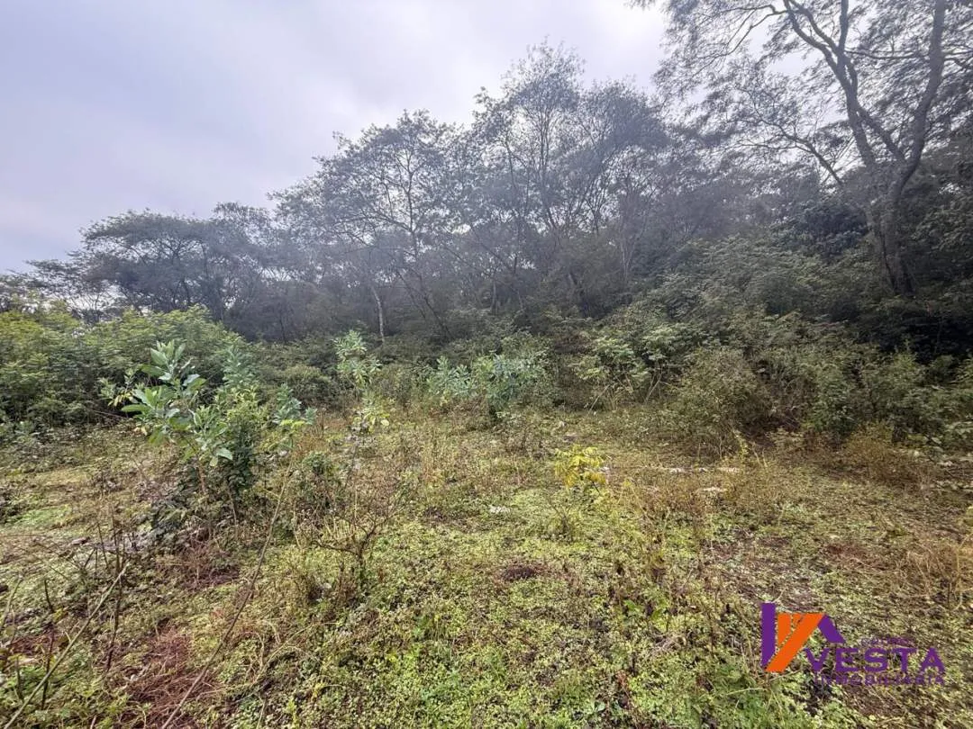 FINCA LA CRUZ (Potreros de La Cruz) 5 Hectareas-VENTA-SALTA