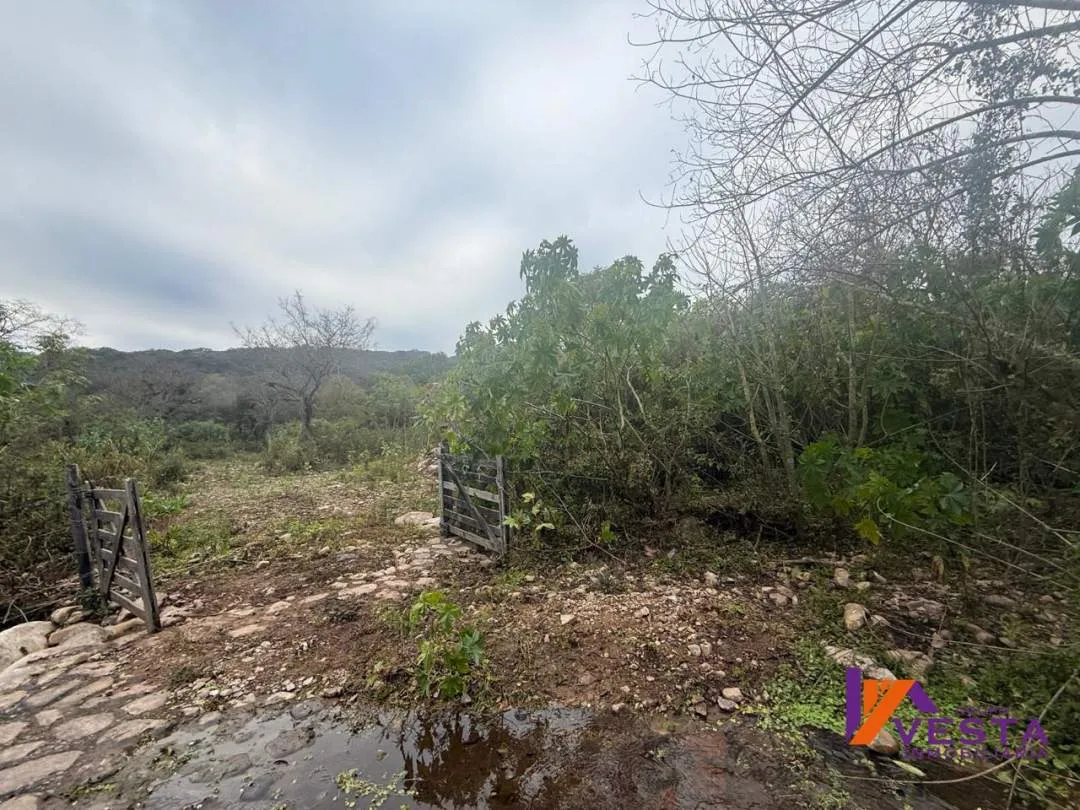 FINCA LA CRUZ (Potreros de La Cruz) 5 Hectareas-VENTA-SALTA