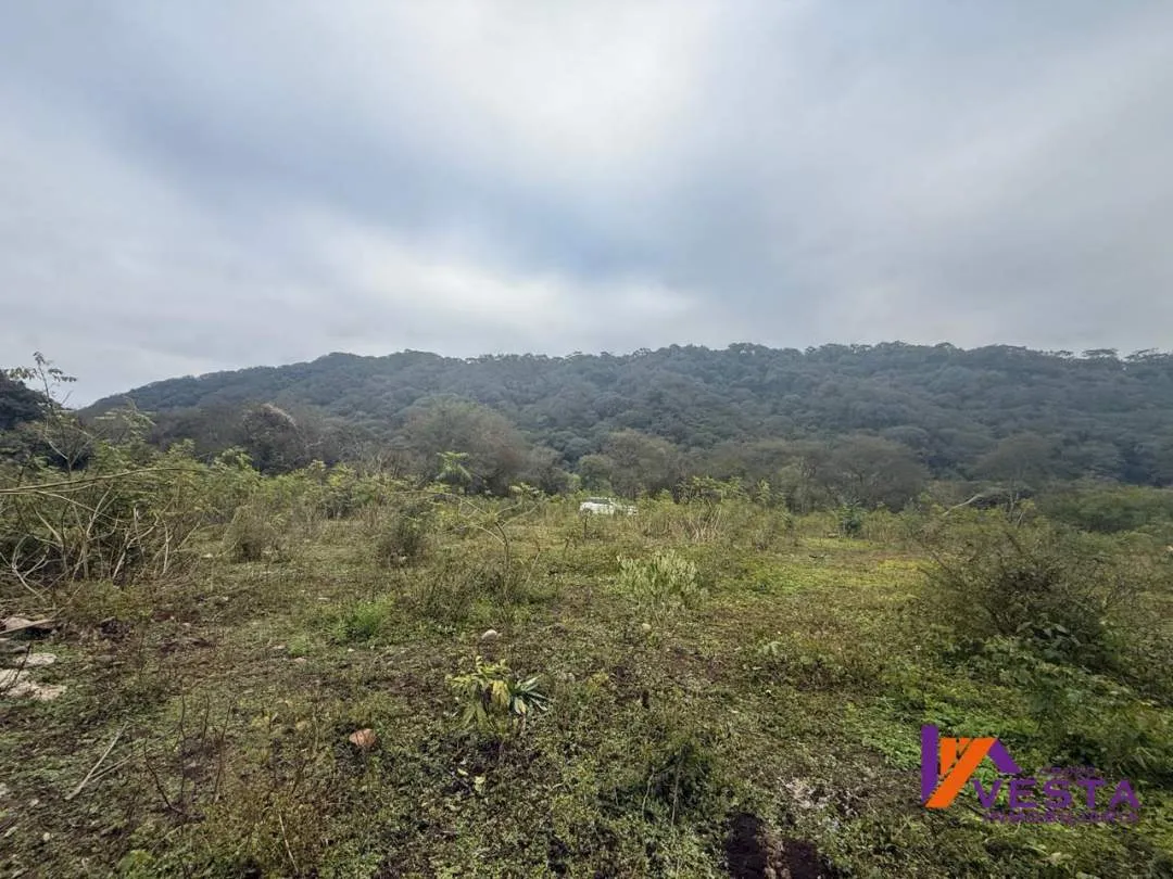 FINCA LA CRUZ (Potreros de La Cruz) 5 Hectareas-VENTA-SALTA