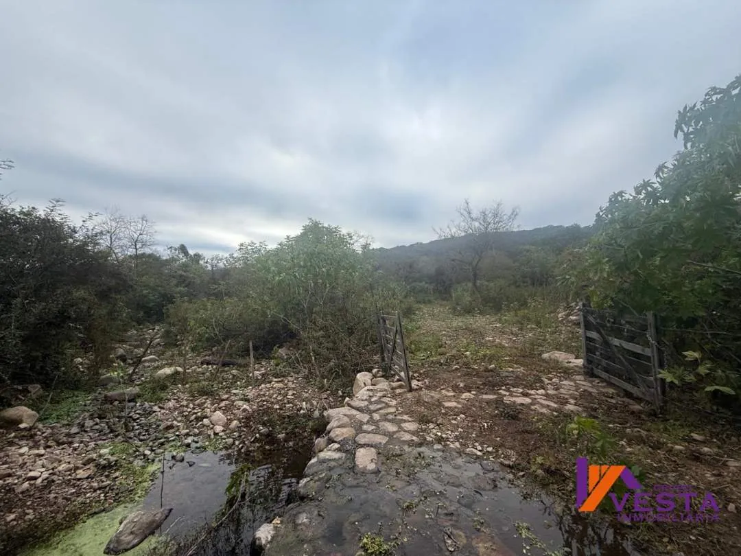 FINCA LA CRUZ (Potreros de La Cruz) 5 Hectareas-VENTA-SALTA
