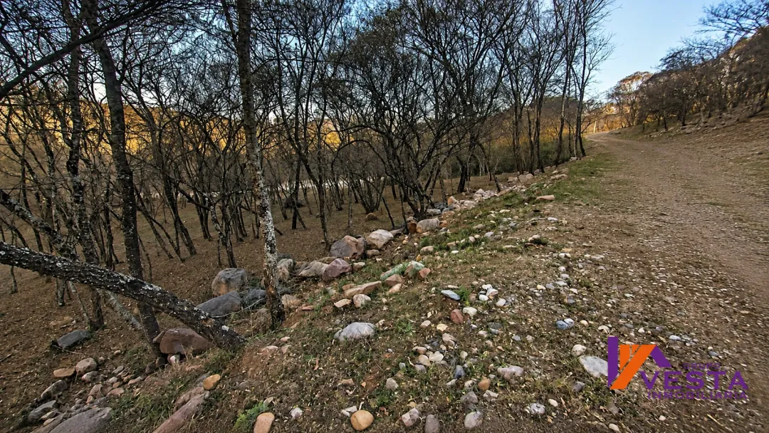 LOTEO LA MISION-TERRENO-VENTA-ZONA NORTE