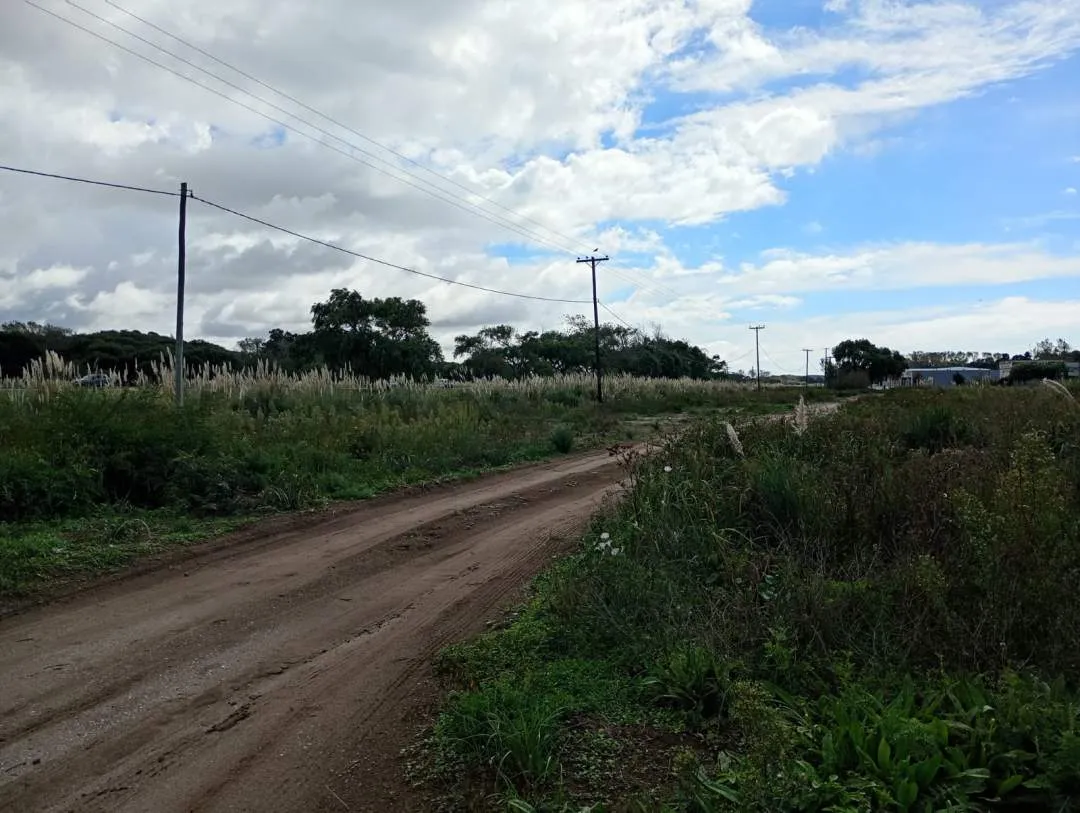 CHACRA SOBRE COLECTORA LAS TONINAS