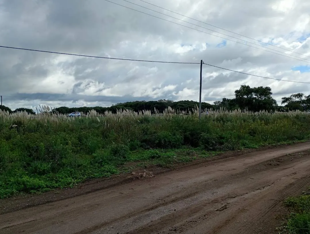 CHACRA SOBRE COLECTORA LAS TONINAS