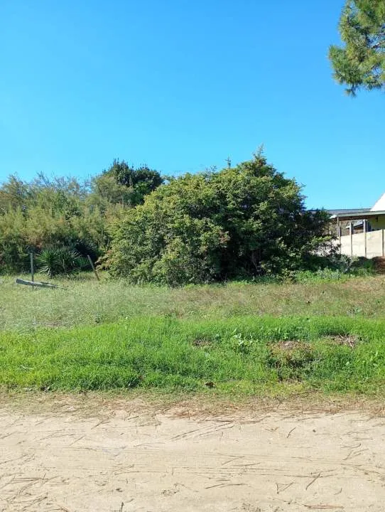 LOTE BALDÍO DE 10 x 40 Mts. SOBRE AVENIDA 7 EN ZONA RESIDENCIAL