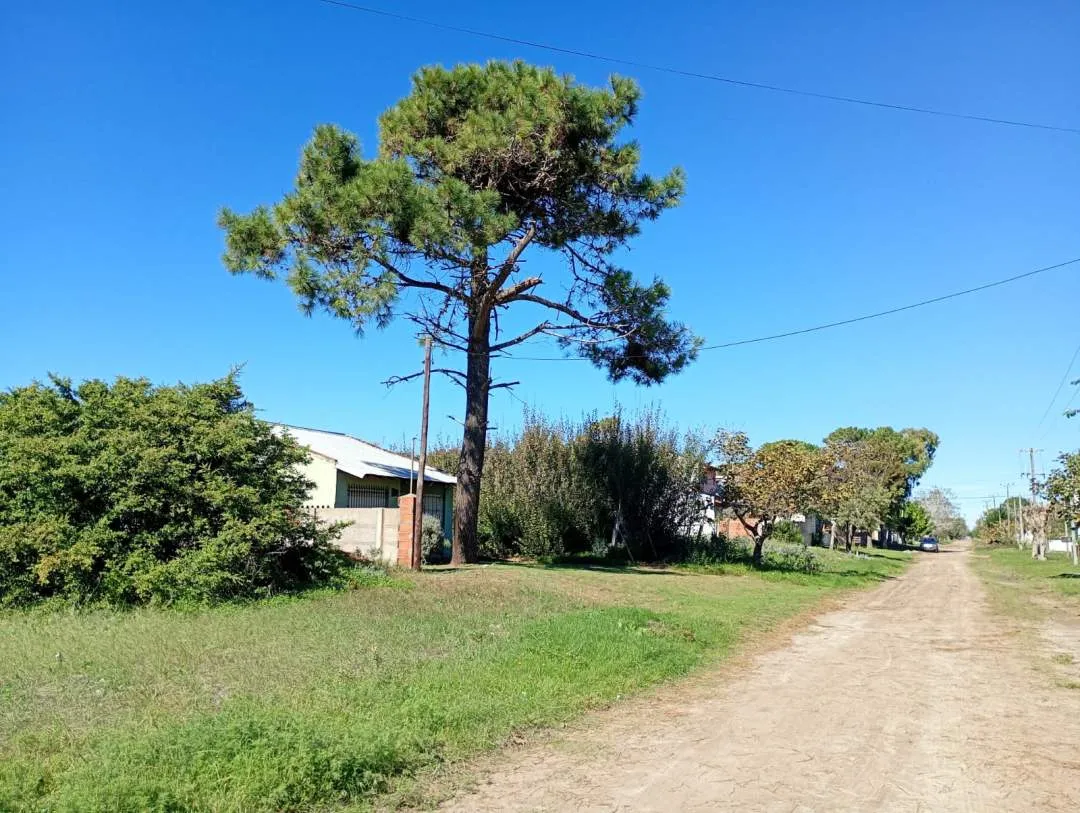 LOTE BALDÍO DE 10 x 40 Mts. SOBRE AVENIDA 7 EN ZONA RESIDENCIAL