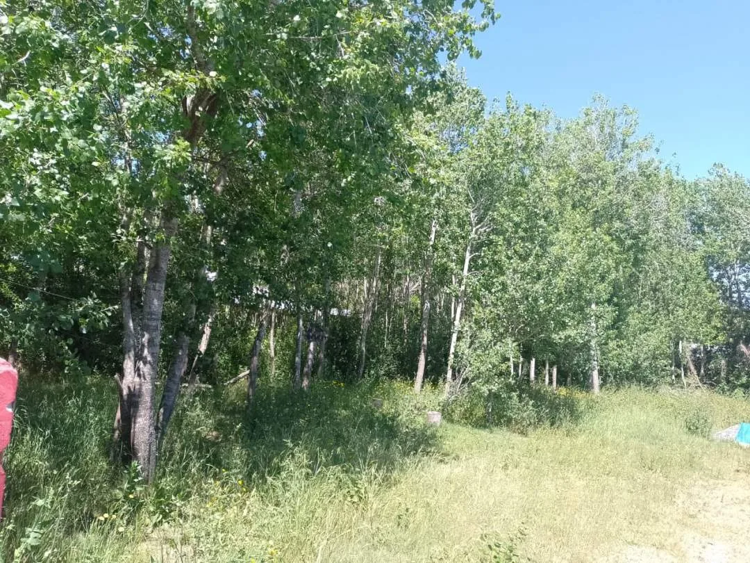 Lote a la venta en Las Toninas Zona residencial 10 x 40 M