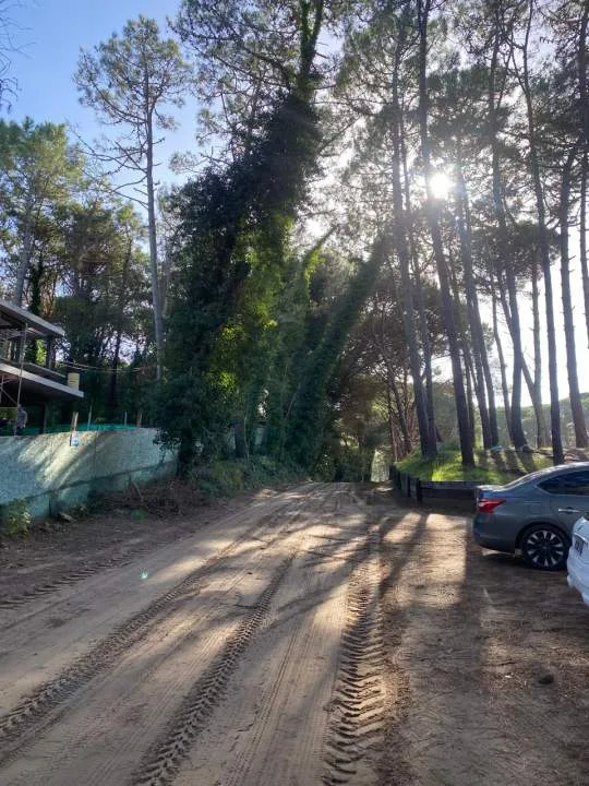 En Pinamar | Casa en Pinamar Norte La Taurina