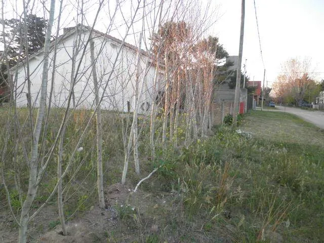 LOTE BALDIO A LA VENTA FRENTE A CLUB DE LAS TONINAS