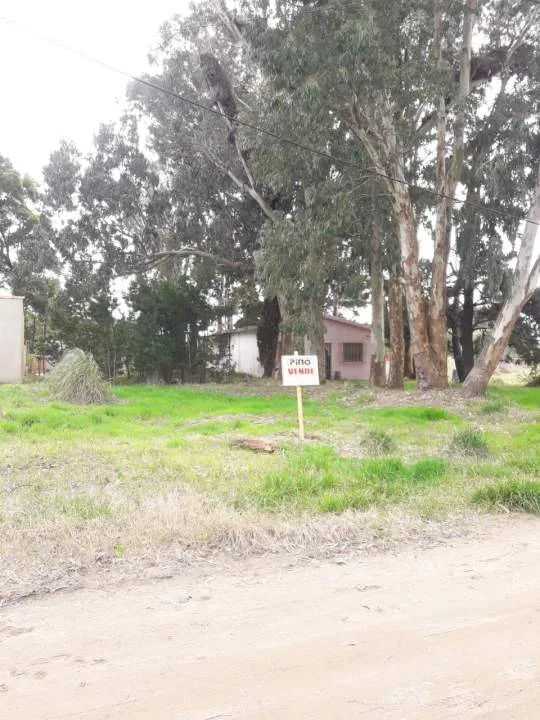 TERRENO BALDIO A LA VENTA DE 10 x 37,50 mts LAS TONINAS